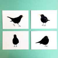 Merel -set van 4 prints