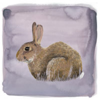 Zittend Konijn Art Print