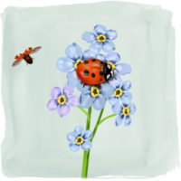Ladybug Art Print