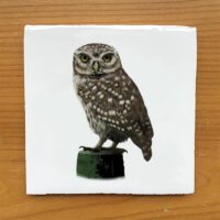 Little Owl - Vintage Style Tile