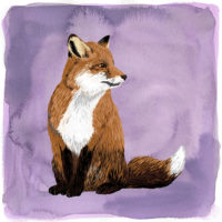 Fox Art Print