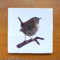 OUTLET ITEM - Tile Wren