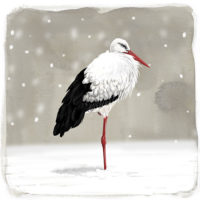 Ooievaar in de sneeuw Art Print