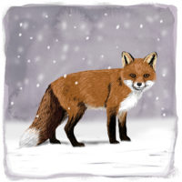 Vos in de sneeuw Art Print