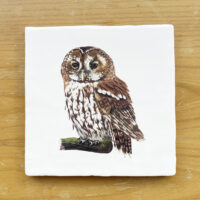 Tawny Owl- Vintage Style Tile