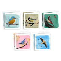 Beautiful Garden Birds - set of 10 cards