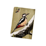 notebook bonte specht sneeuw vrijstaand copy