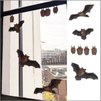 Pipistrelle Bat Double-sided Window Sticker